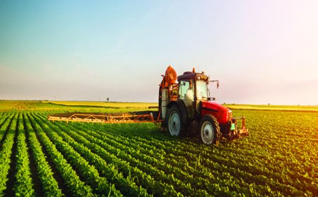 MPC Meeting: अब की बार 90 पार! रुपया कलंडला, RBI समोर मोठा पेच; स्वस्ताईचं स्वप्न लांबणीवर पडणार? सामान्यांवर असा होणार परिणाम